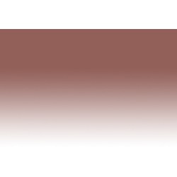 Chameleon Pens BR4 –  Burnt Umber