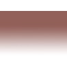 Chameleon Pens BR4 –  Burnt Umber