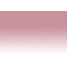 Chameleon Pens PK2 – Dusty Rose