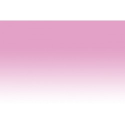 Chameleon Pens PK4 –  Peony Pink