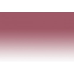 Chameleon Pens RD5 – Burgundy