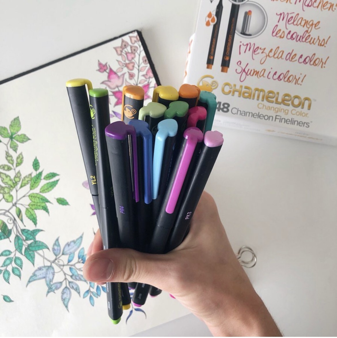 Comment utiliser les CHAMELEON Fineliners ?